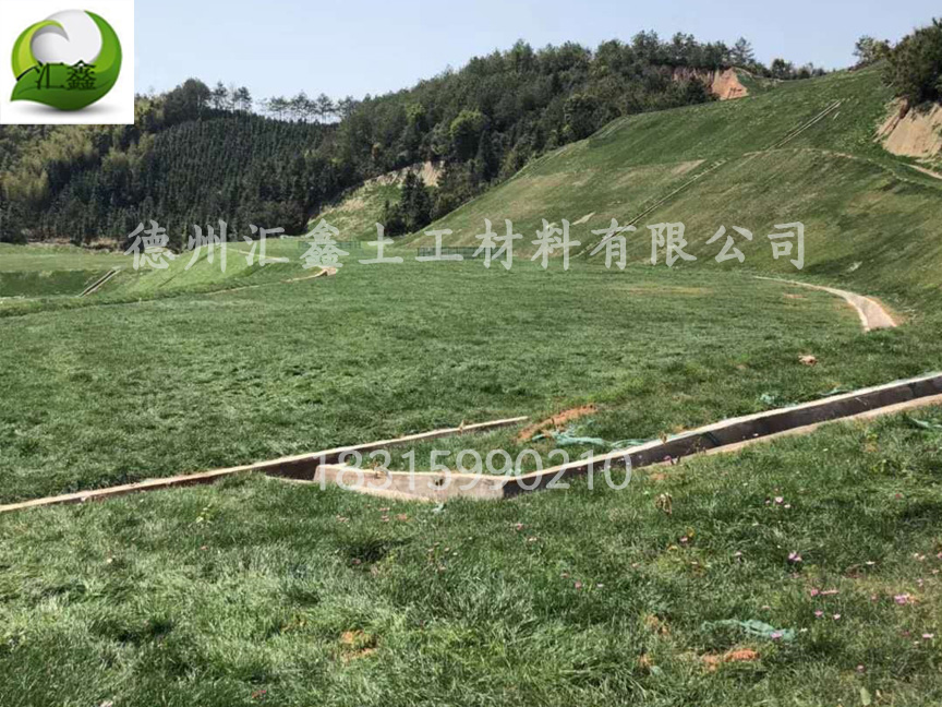 中铁七局西藏公司国道214项目护坡椰丝生态毯