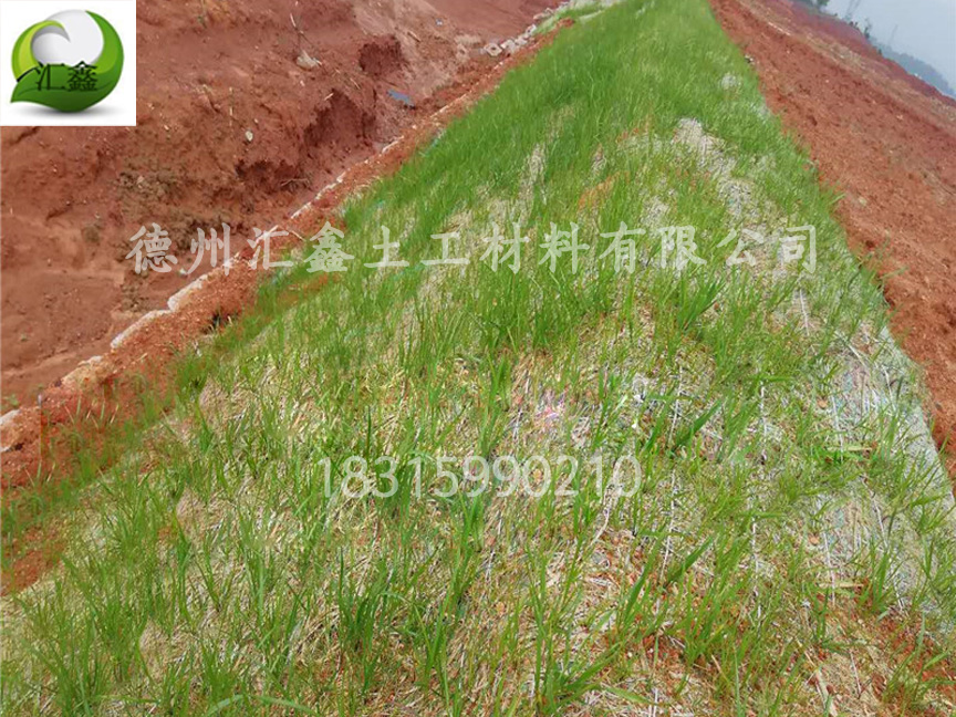 护坡植草毯是如何实现护坡绿化的？