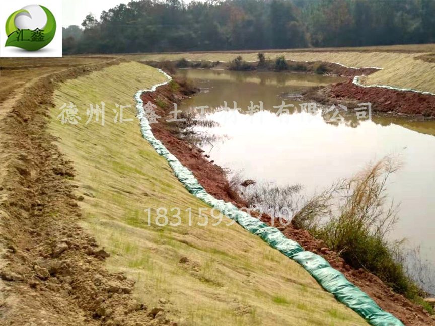 植物纤维毯——河道边坡用护坡绿化毯
