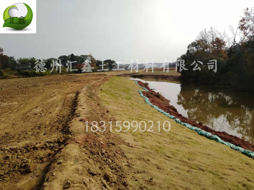 椰丝毯——河道护坡绿化材料