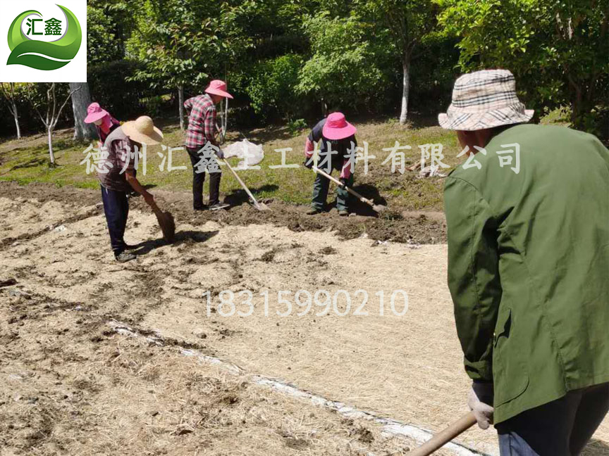 椰丝秸秆混合植生毯