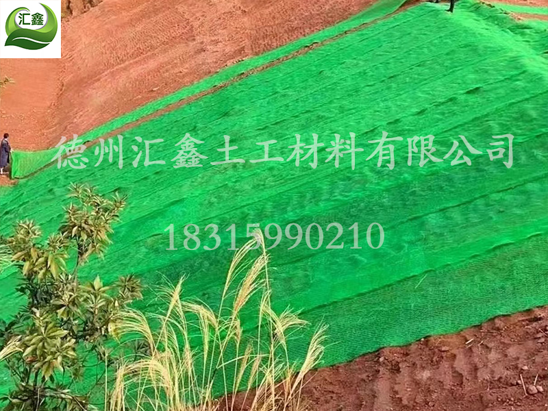 三维植被网