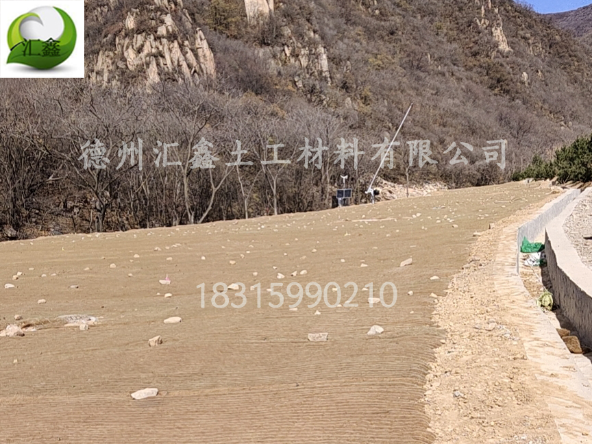 赣州寻乌县公路边坡植物纤维毯防护工程(图1)
