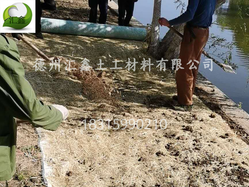 唐山公园人工湖边坡护坡工程用草毯(图1)