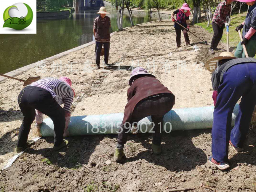 唐山公园人工湖边坡护坡工程用草毯(图2)