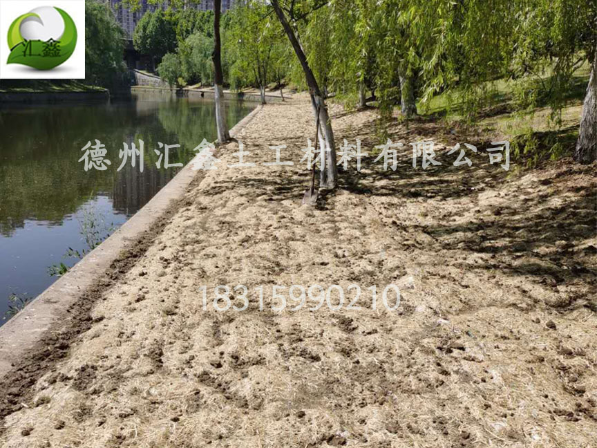 广西李总采购护坡植草毯350000㎡(图1)