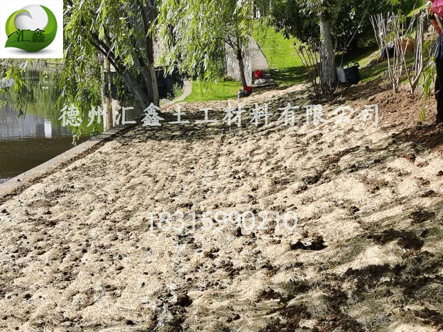 生态草毯的好处(图1) 生态草毯的好处(图1)