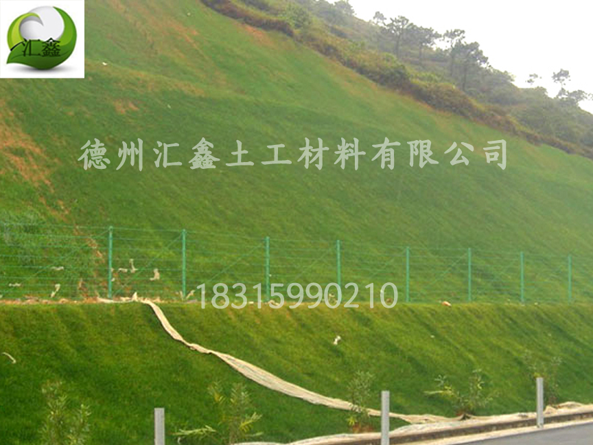 椰丝毯的植生能力怎么样(图2) 椰丝毯的植生能力怎么样(图2)