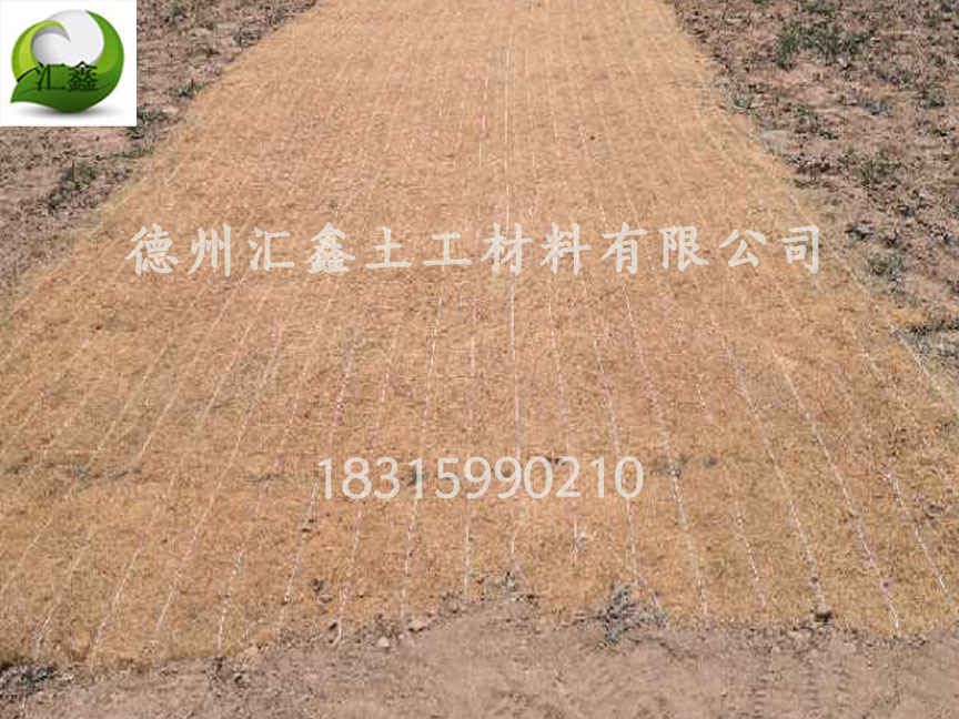 植被毯可以种植植物吗?(图2) 植被毯可以种植植物吗?(图2)