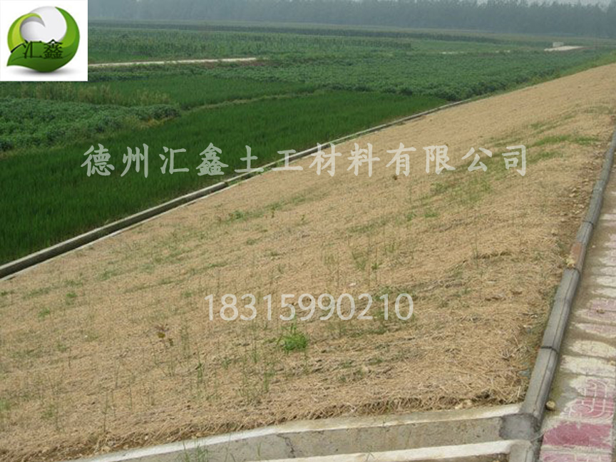 护坡植草毯的施工方案(图1) 护坡植草毯的施工方案(图1)