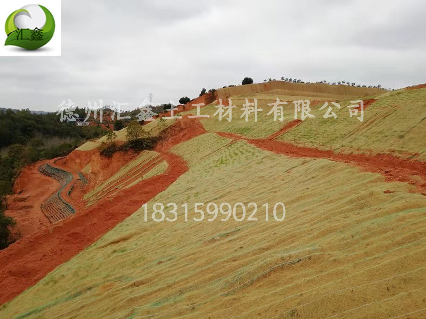 草毯可以降解吗(图1) 草毯可以降解吗(图1)