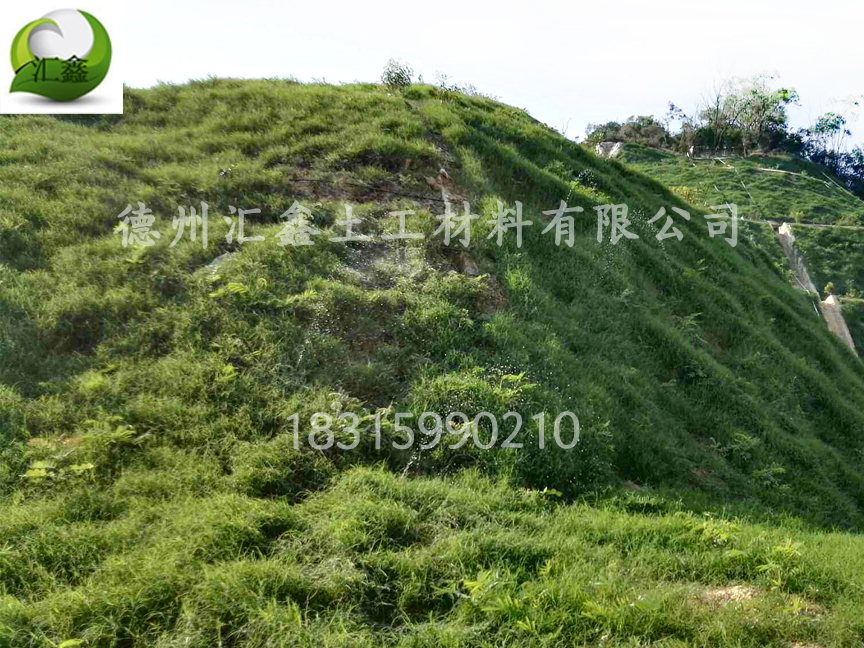 高边坡植被毯的施工方案有何不同(图2) 高边坡植被毯的施工方案有何不同(图2)