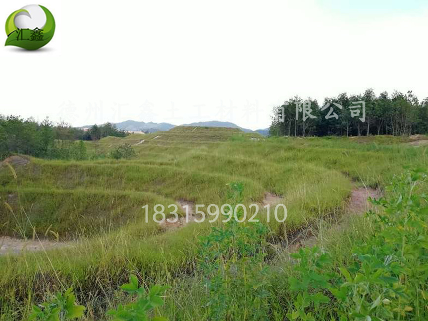 护坡植草毯中的种子如何选择(图1) 护坡植草毯中的种子如何选择(图1)