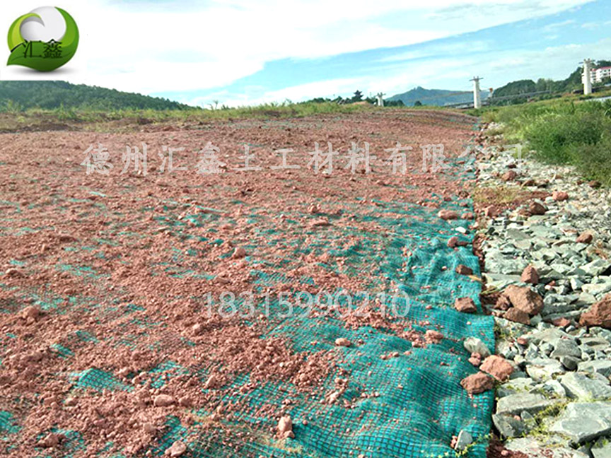 天津南站河道边坡绿化用抗冲生物毯(图2)