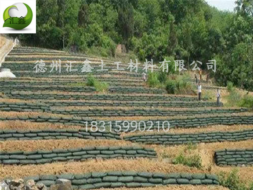 山东青岛黄总采购生态袋400000条(图1)