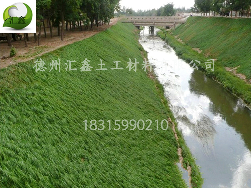 潇河综合治理用植生毯护坡(图2)