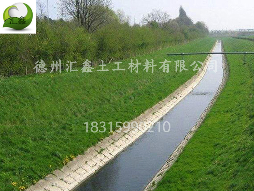 带草籽的椰丝毯你认识吗?(图4) 带草籽的椰丝毯你认识吗?(图4)