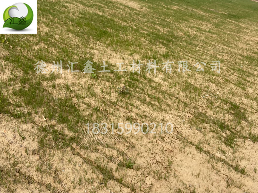 什么是椰丝毯?椰丝毯的特点是什么?(图2) 什么是椰丝毯?椰丝毯的特点是什么?(图2)
