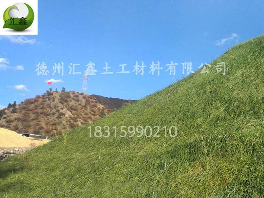 生态草毯的价格(图2) 生态草毯的价格(图2)