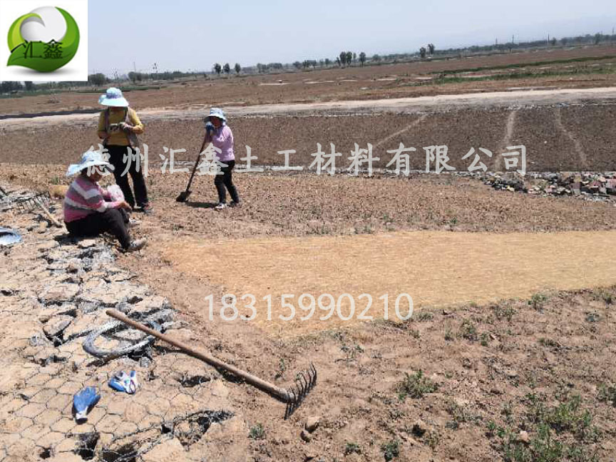 河道护坡绿化护坡植草毯(图3) 河道护坡绿化护坡植草毯(图3)