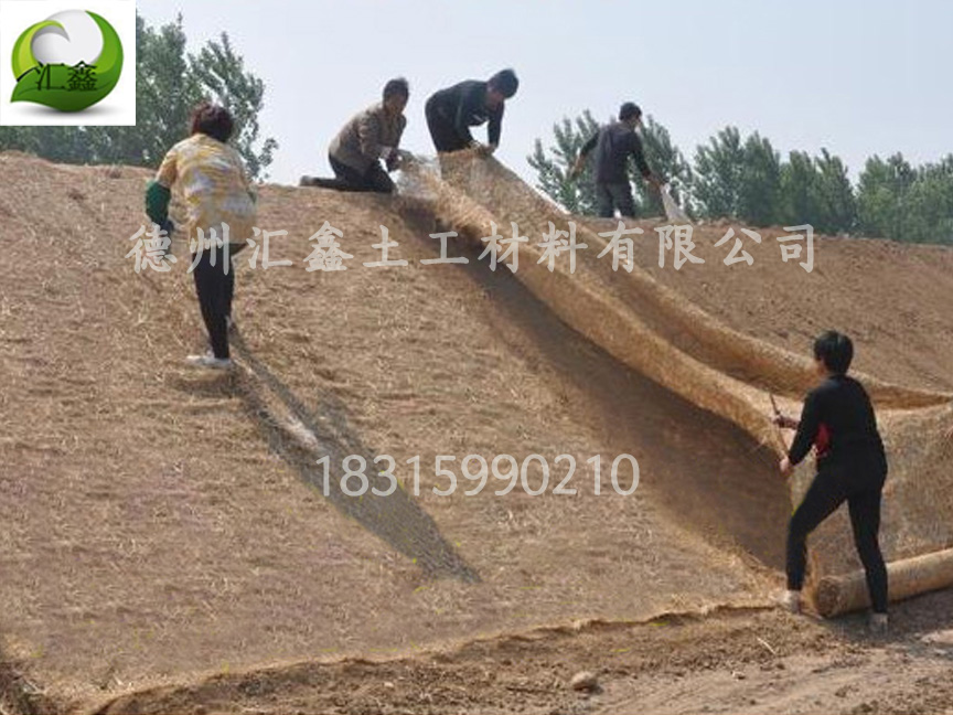 植物纤维毯可以应用在哪些领域?(图2) 植物纤维毯可以应用在哪些领域?(图2)