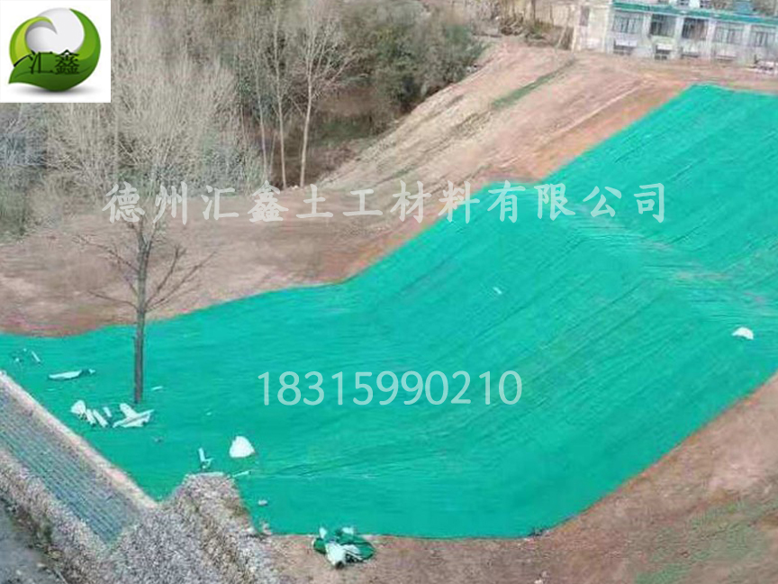 生态草毯有什么用途?(图3) 生态草毯有什么用途?(图3)