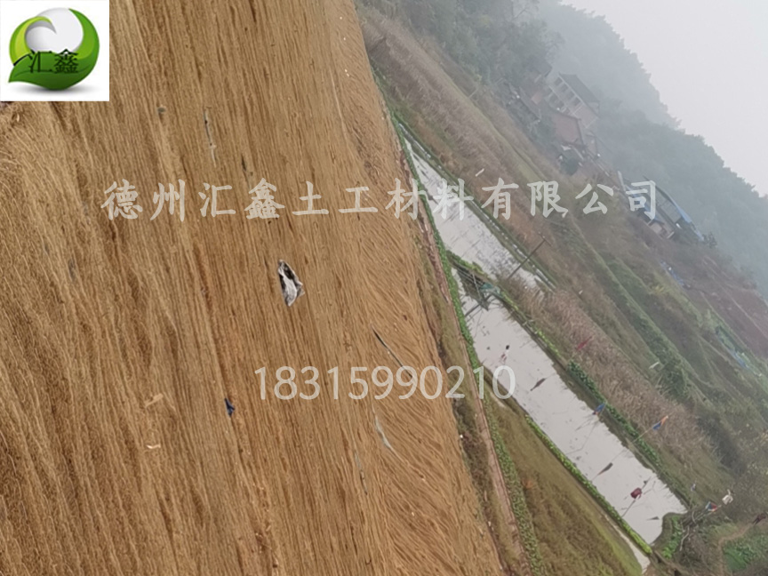 护坡植草毯可以应用在哪里?(图4) 护坡植草毯可以应用在哪里?(图4)