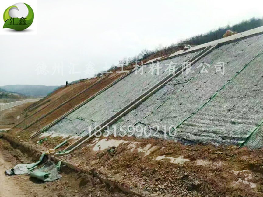 护坡植草毯有什么作用?(图1) 护坡植草毯有什么作用?(图1)