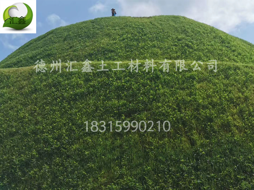 生态草毯是怎样恢复生态的?(图1) 生态草毯是怎样恢复生态的?(图1)