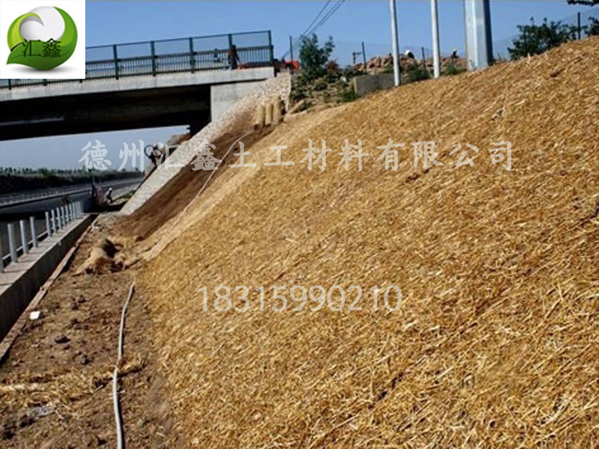植物纤维毯可降解一体化草毯(图1) 植物纤维毯可降解一体化草毯(图1)