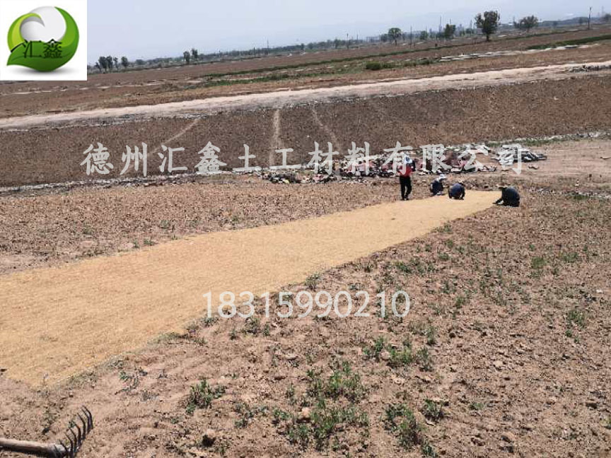 植物纤维毯怎样绿化护坡?(图1) 植物纤维毯怎样绿化护坡?(图1)